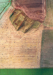 CROP CROSSROADS II