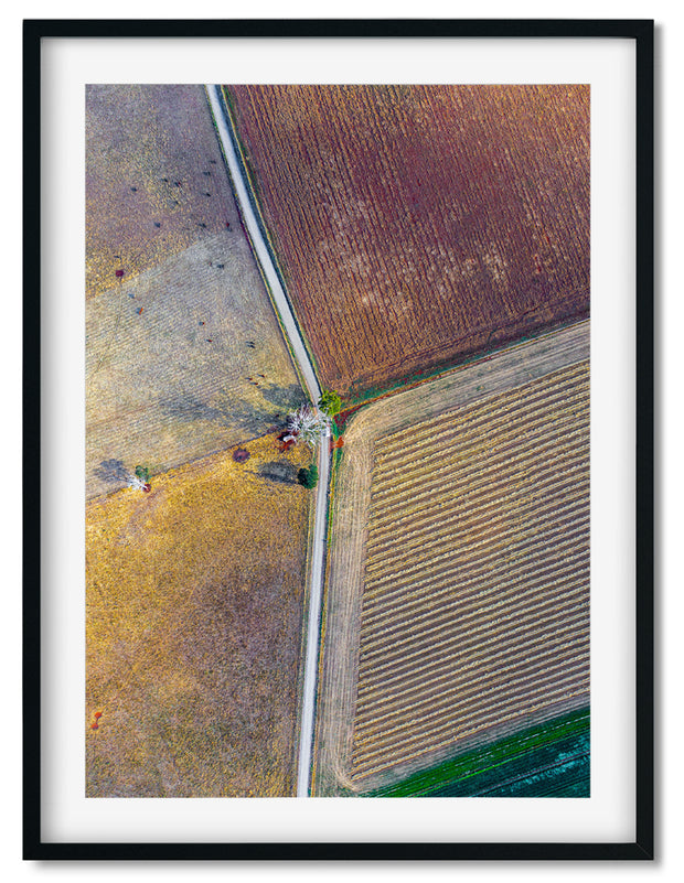 CROP CROSSROADS III