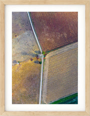 CROP CROSSROADS III