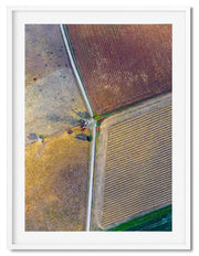 CROP CROSSROADS III