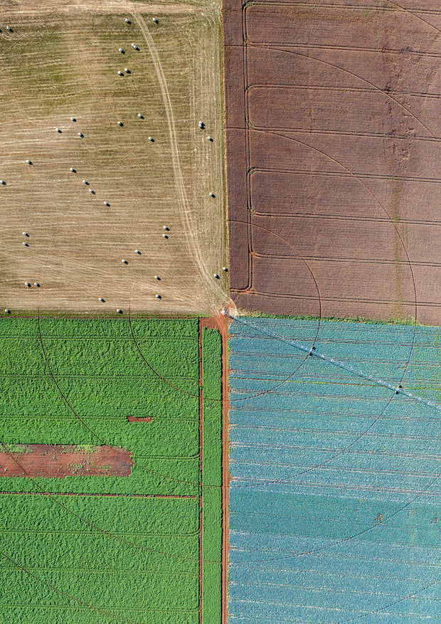 CROP CROSSROADS