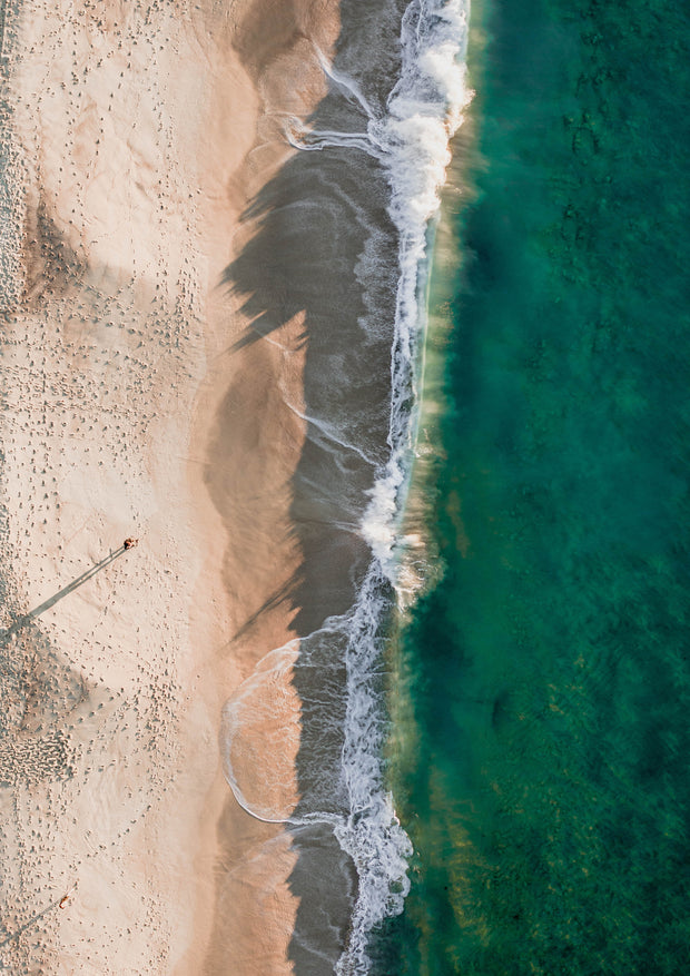 COOGEE SHORE III