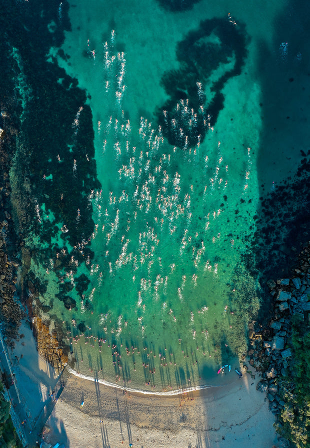 SHELLY BEACH SWIM I